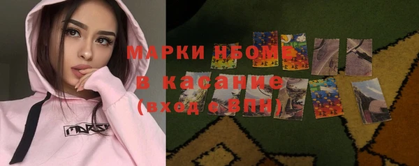 индика Красноперекопск