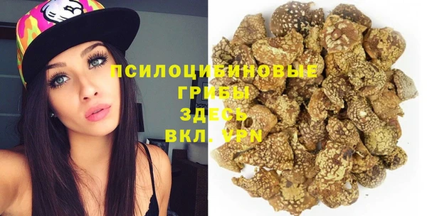 индика Красноперекопск
